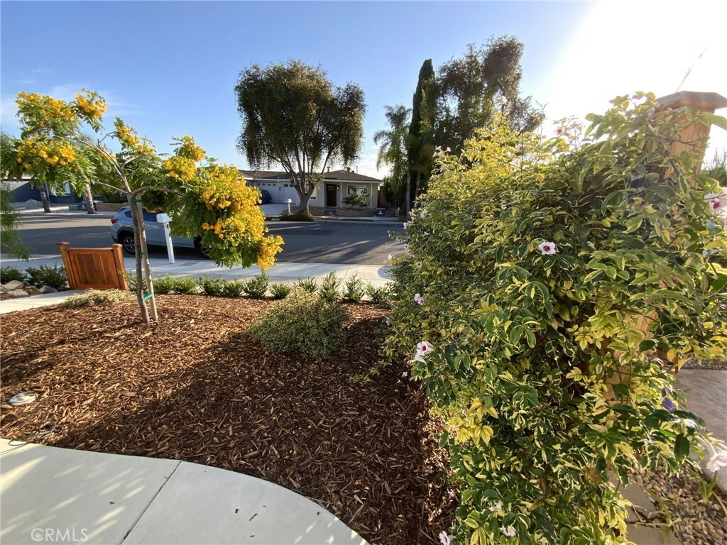 Property Photo:  3102 Buena Hills Drive  CA 92056 