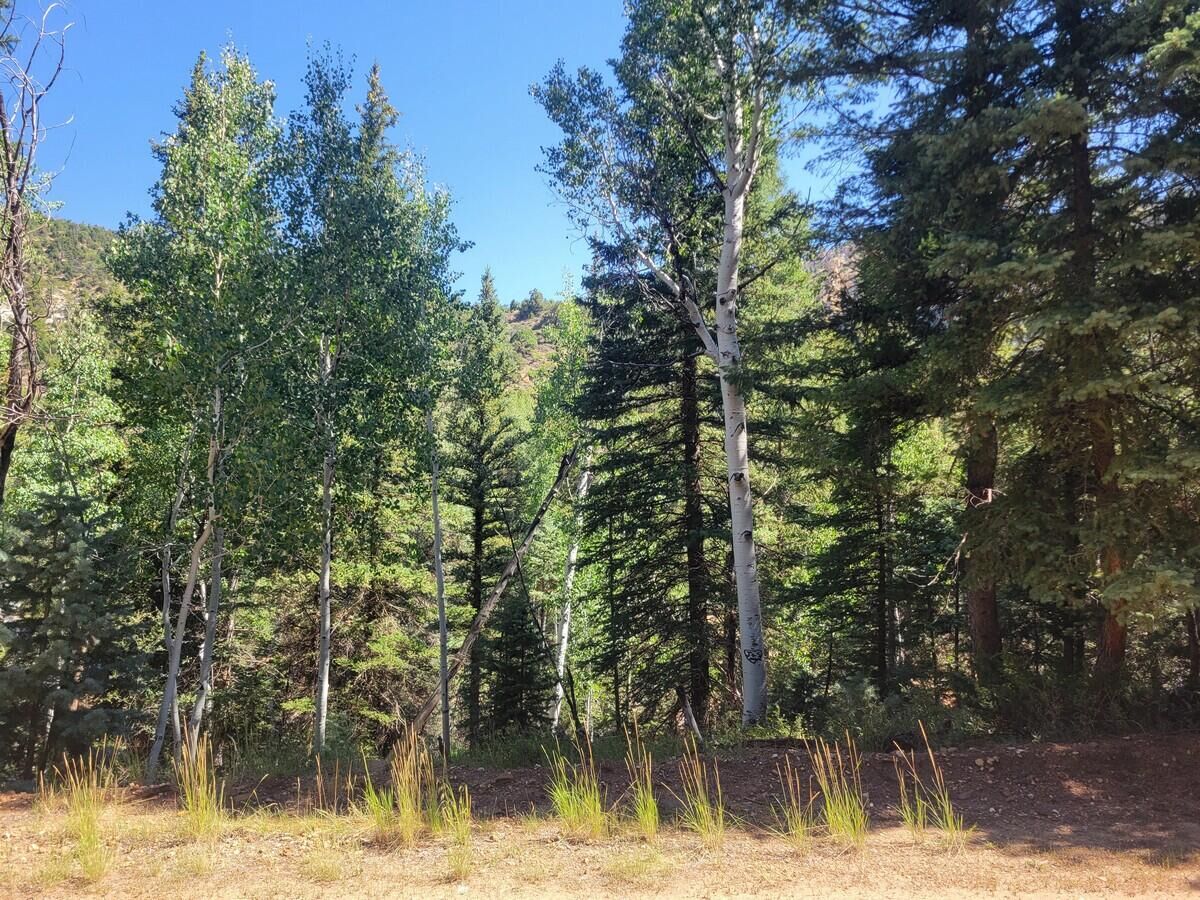 Property Photo:  Lot 26 Sequoia Dr  UT 84762