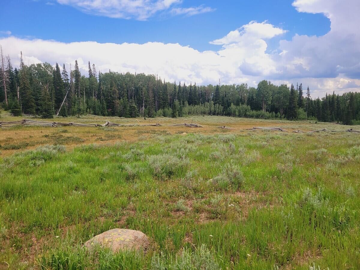 Property Photo: Lot 12 Rainbow Meadows Un D UT 84719