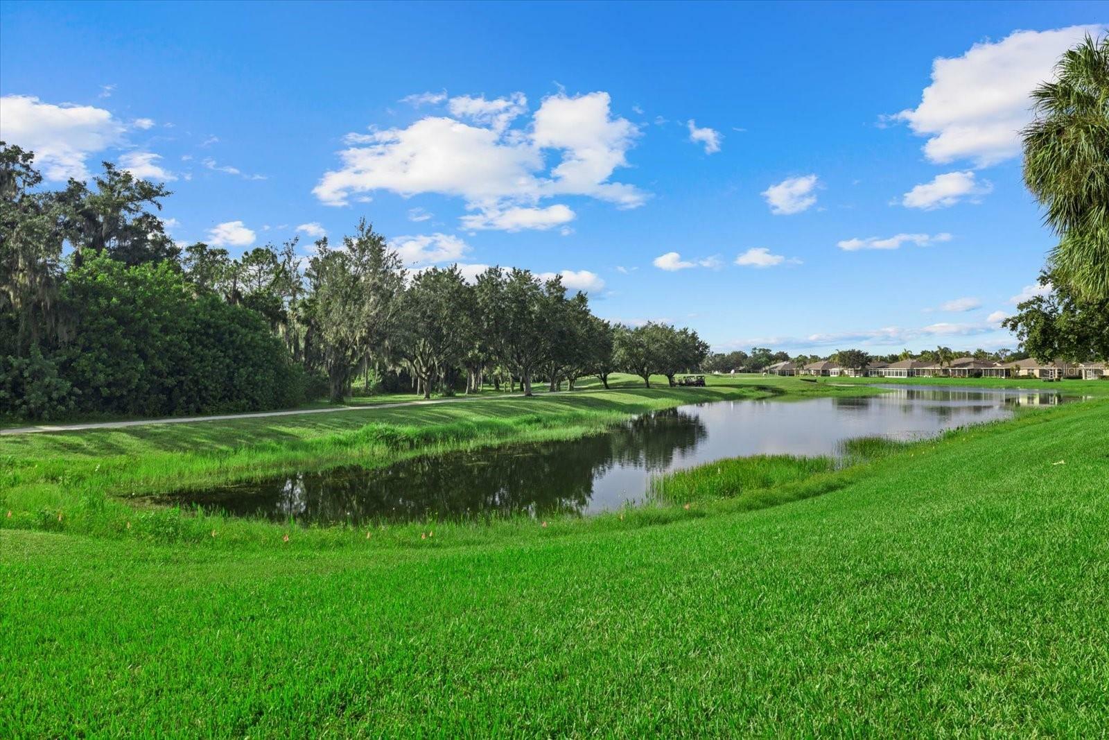 Property Photo:  1223 Fairway Greens Drive  FL 33573 