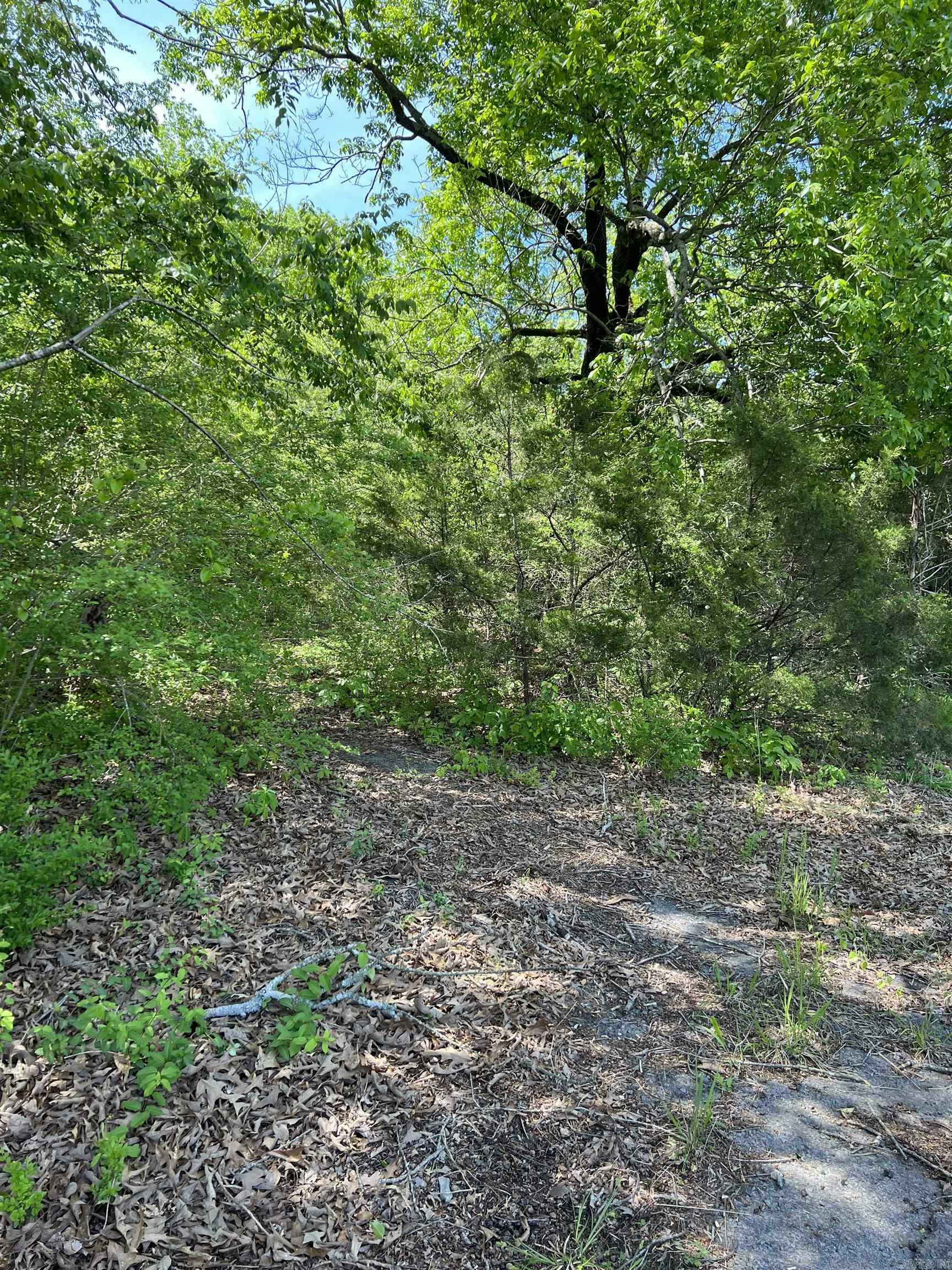 Property Photo:  508 N Center  AR 72543 