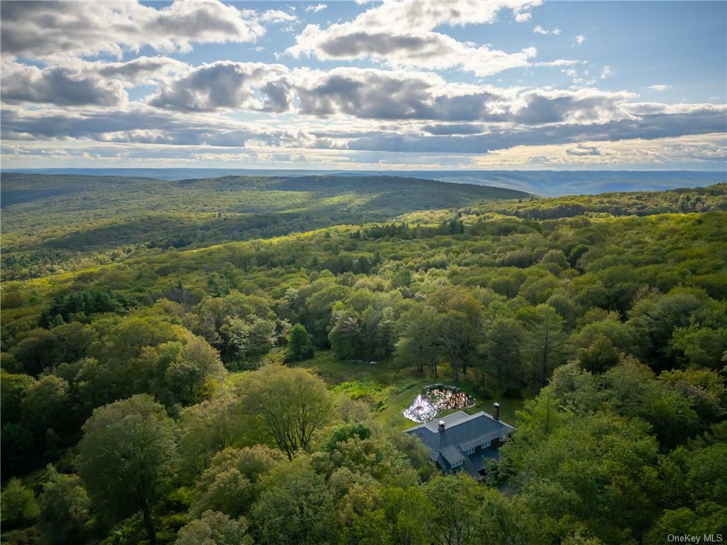 Property Photo:  220 Vista Maria Road  NY 12420 