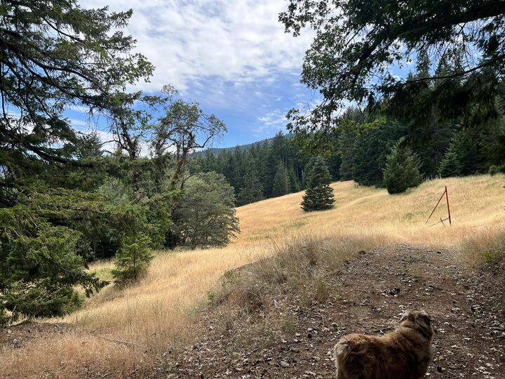 Property Photo:  0 Stapp Road  CA 95549 