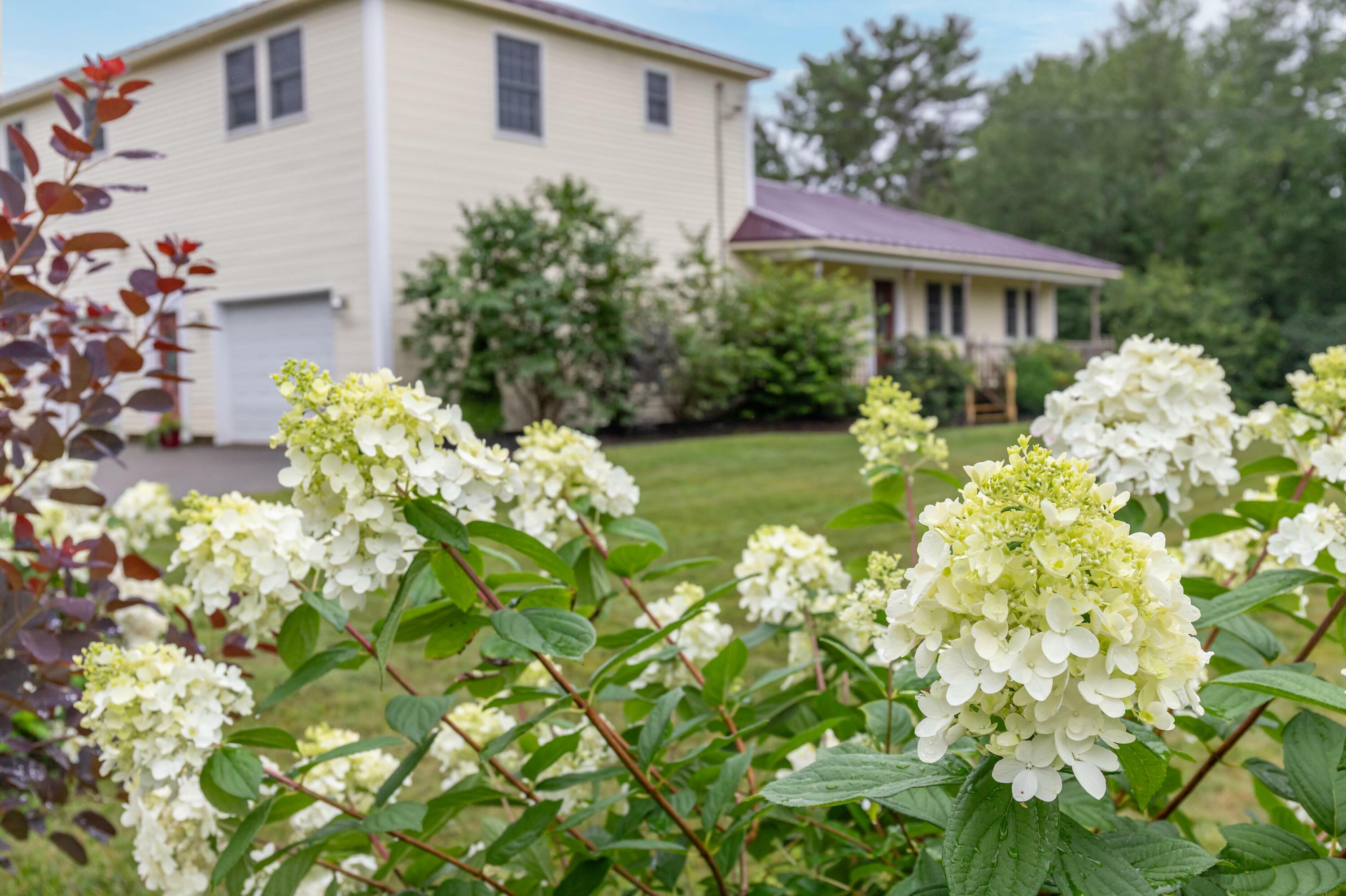 Property Photo:  25 Meadow Road  ME 04496 