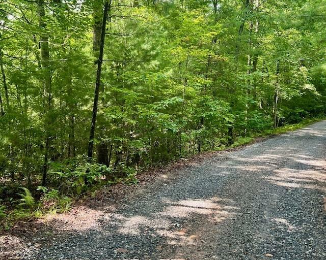 Property Photo: 0 Hillbilly Holler GA 30513