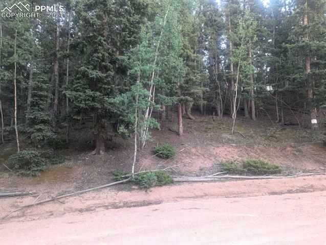 358 Pawutsy Road  Florissant CO 80816 photo