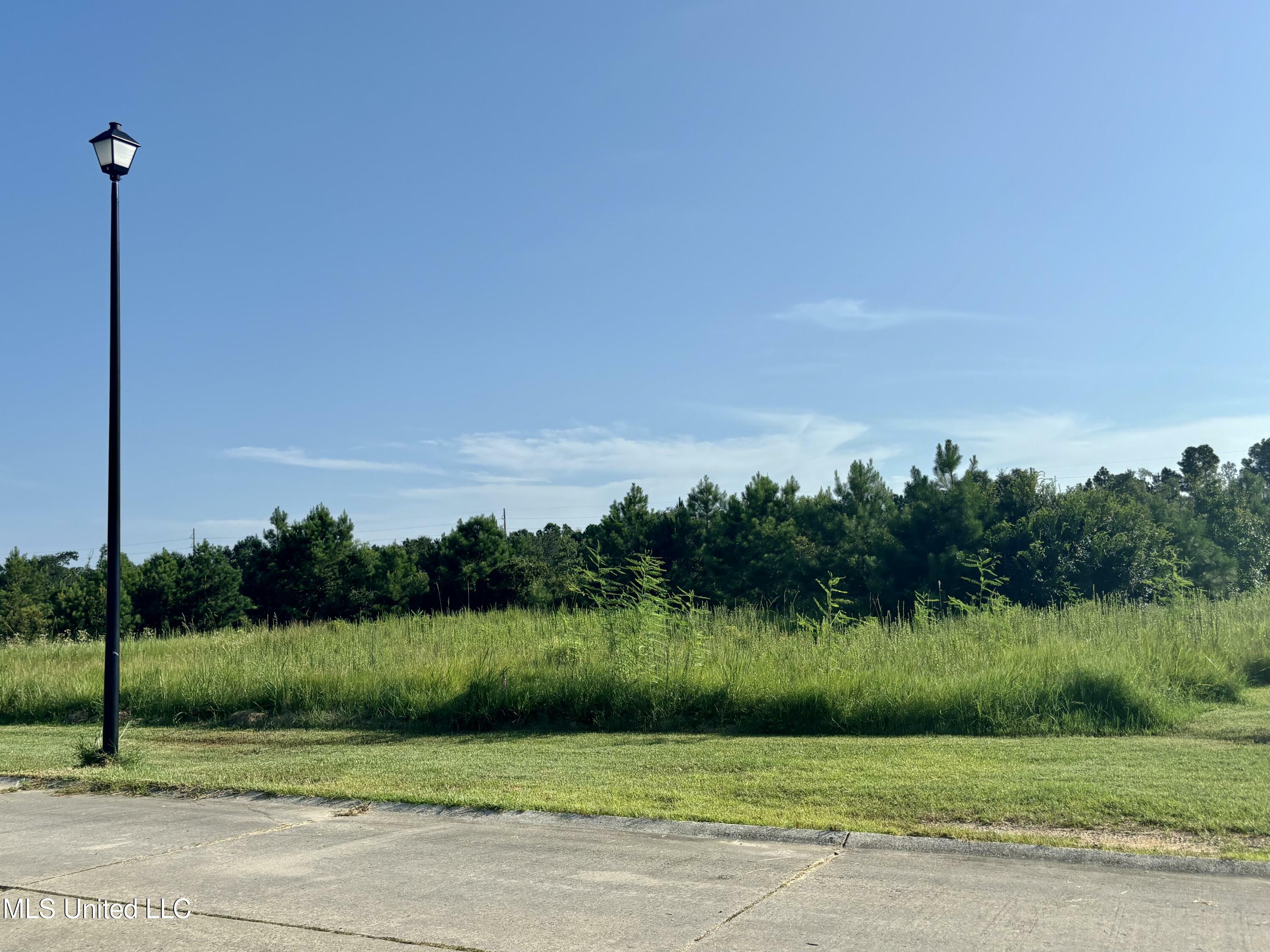 Property Photo:  Lot 24 Atlantis Drive  MS 39520 