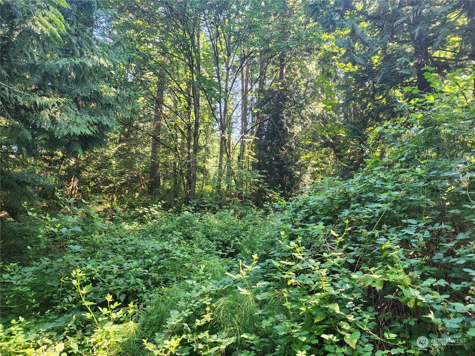 Property Photo:  0 NE Redmond Rd Road  WA 98053 