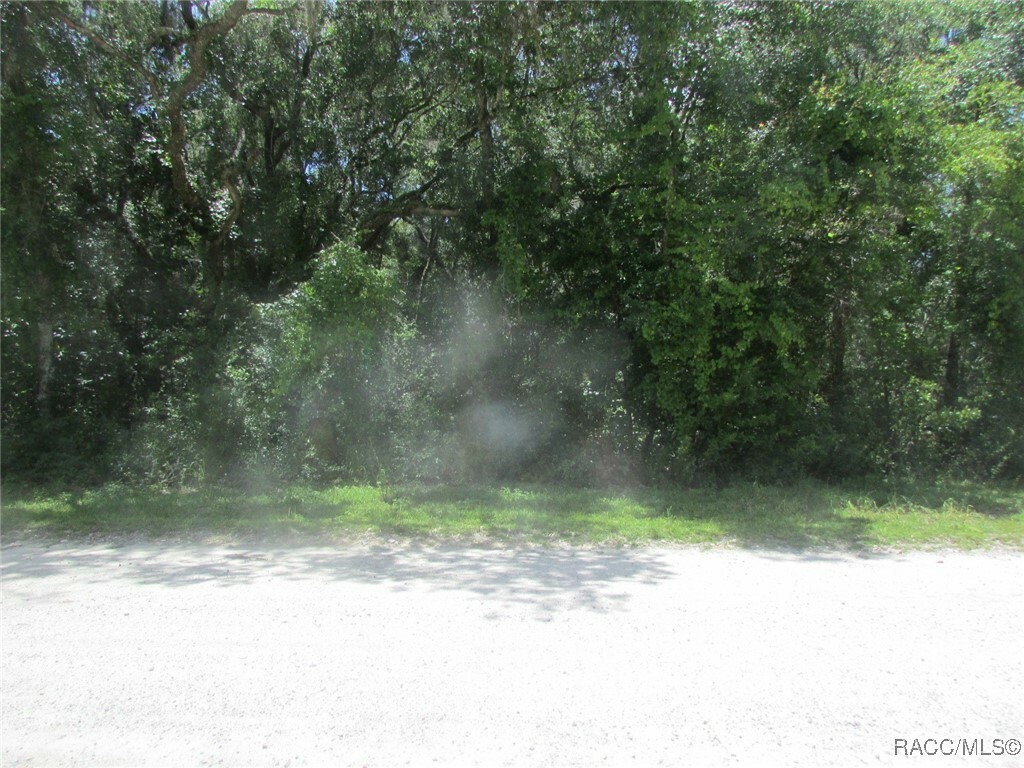 Property Photo:  2732 Suellen  FL 34450 