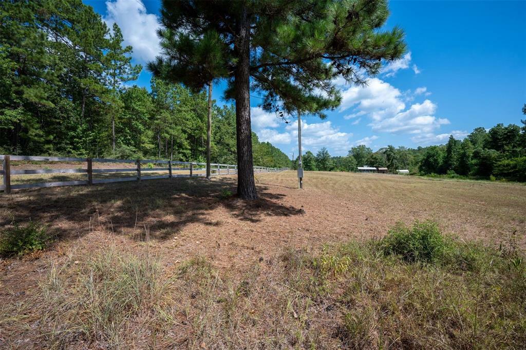 Property Photo:  293 Blooming Dogwood Road  TX 75936 