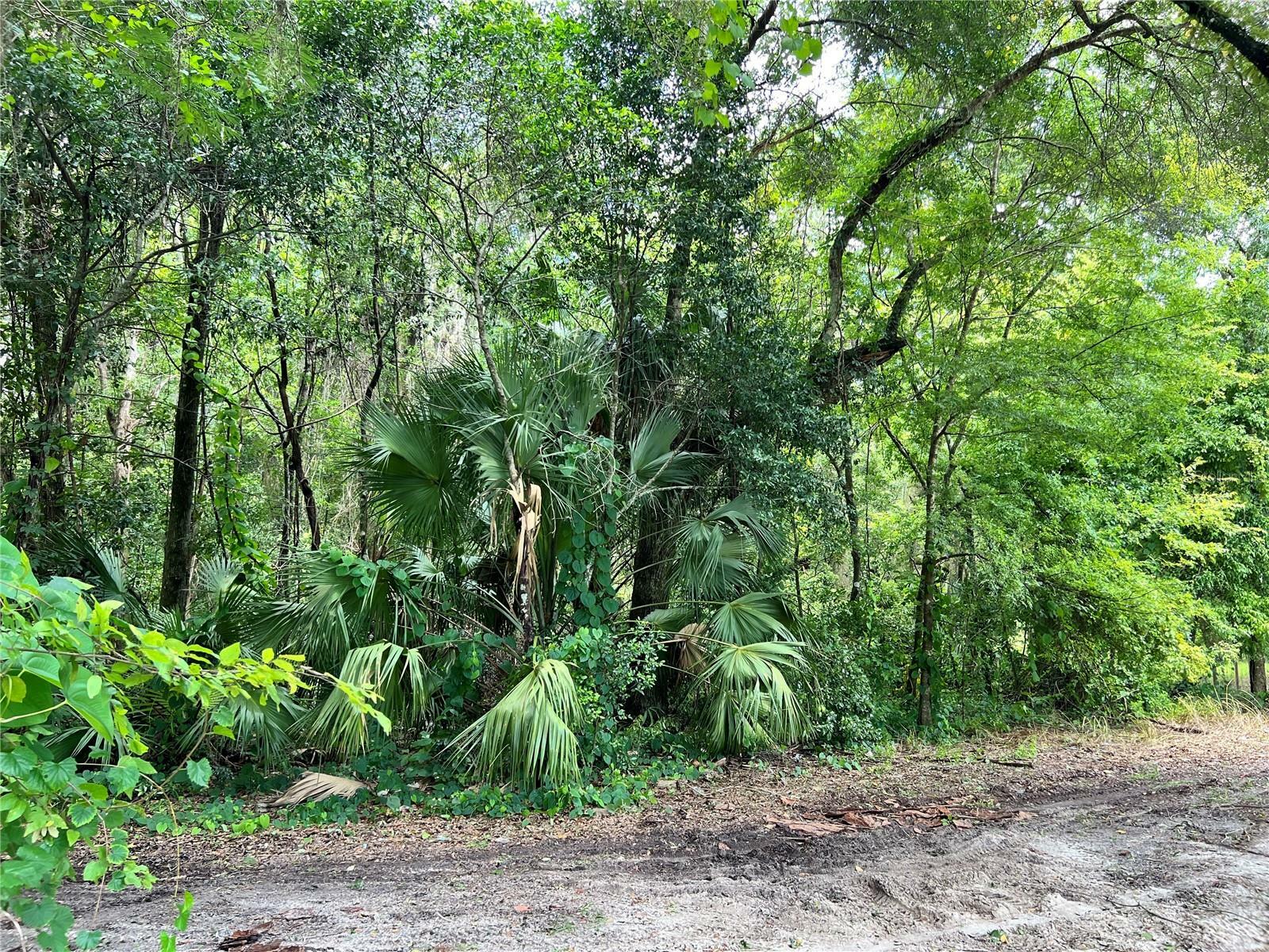 Property Photo:  4929 SW 63rd Boulevard  FL 32608 