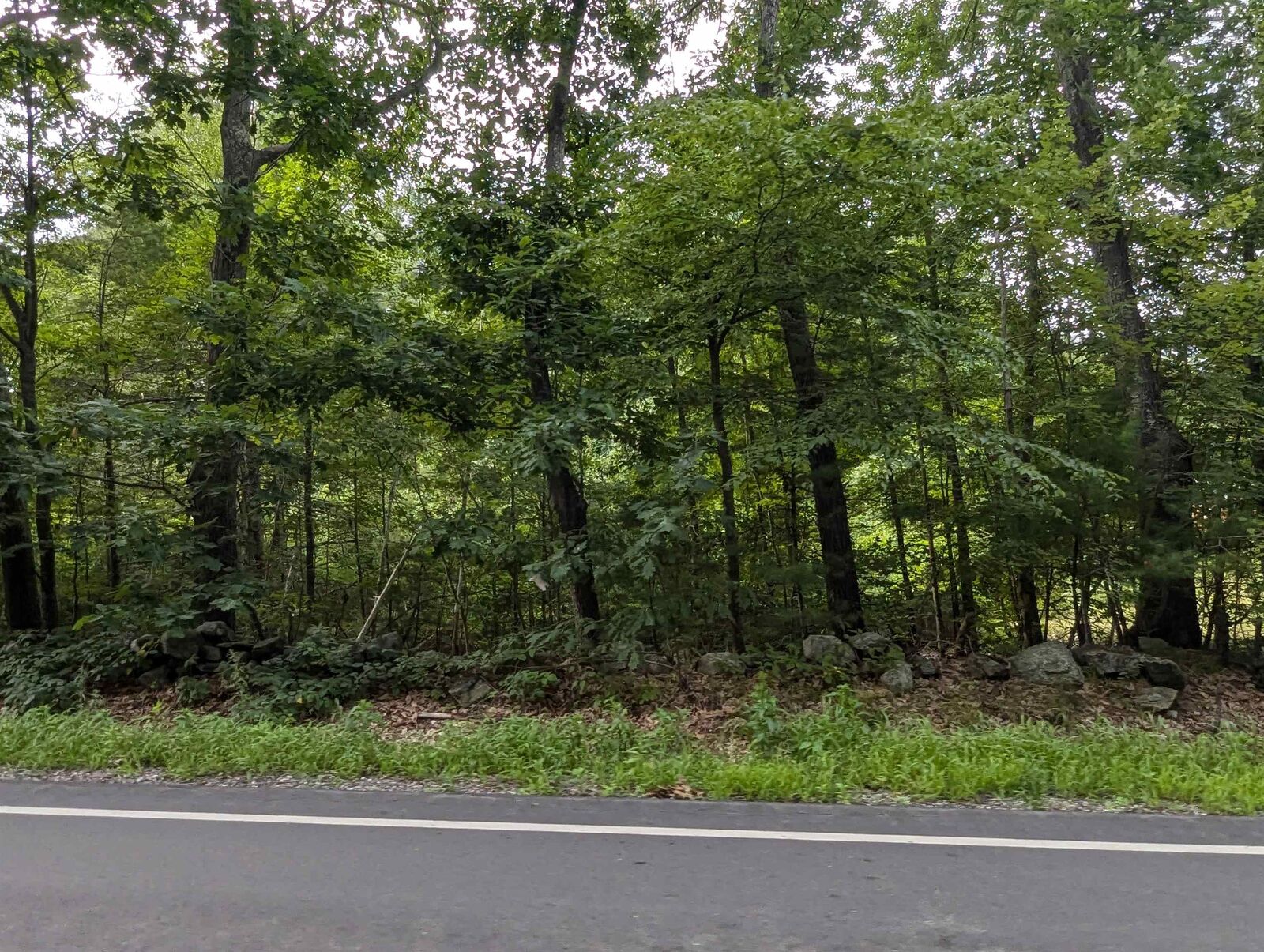 Property Photo: 152 Range Road NH 03087