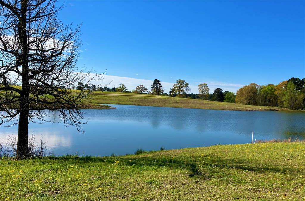 Property Photo:  Lot 49 White Oak  TX 75755 