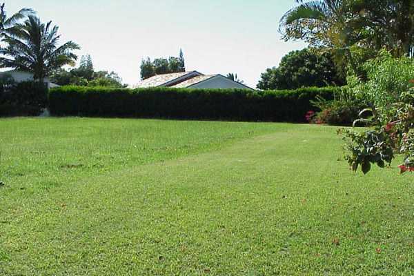 Property Photo:  4118 Kekaulike Ln  HI 96722 