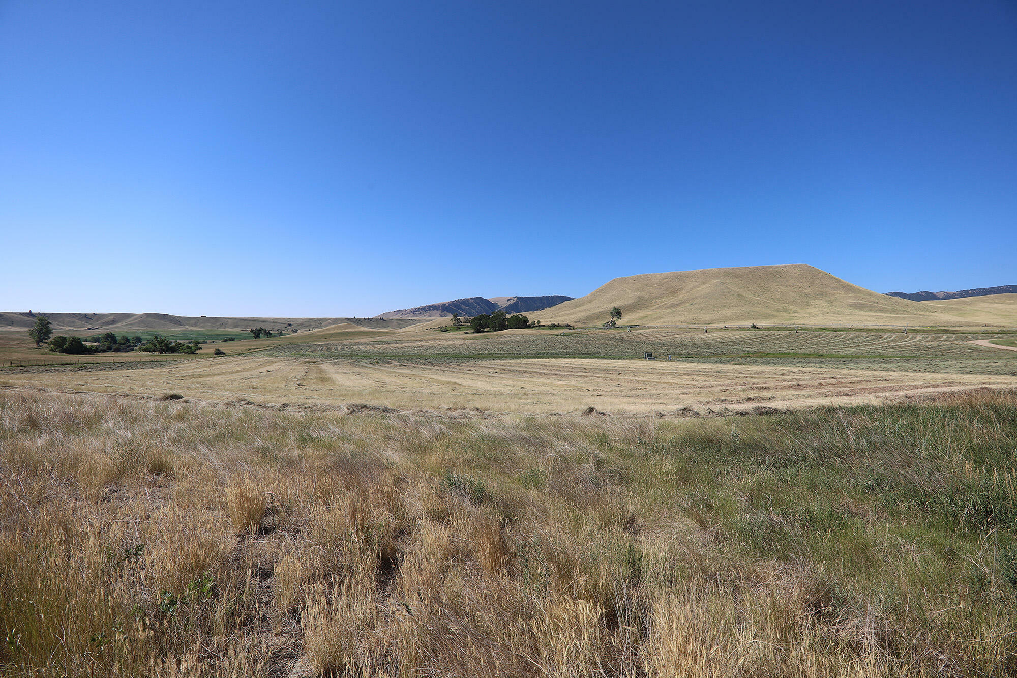 Property Photo:  40 Hopkins Divide Loop  WY 82834 