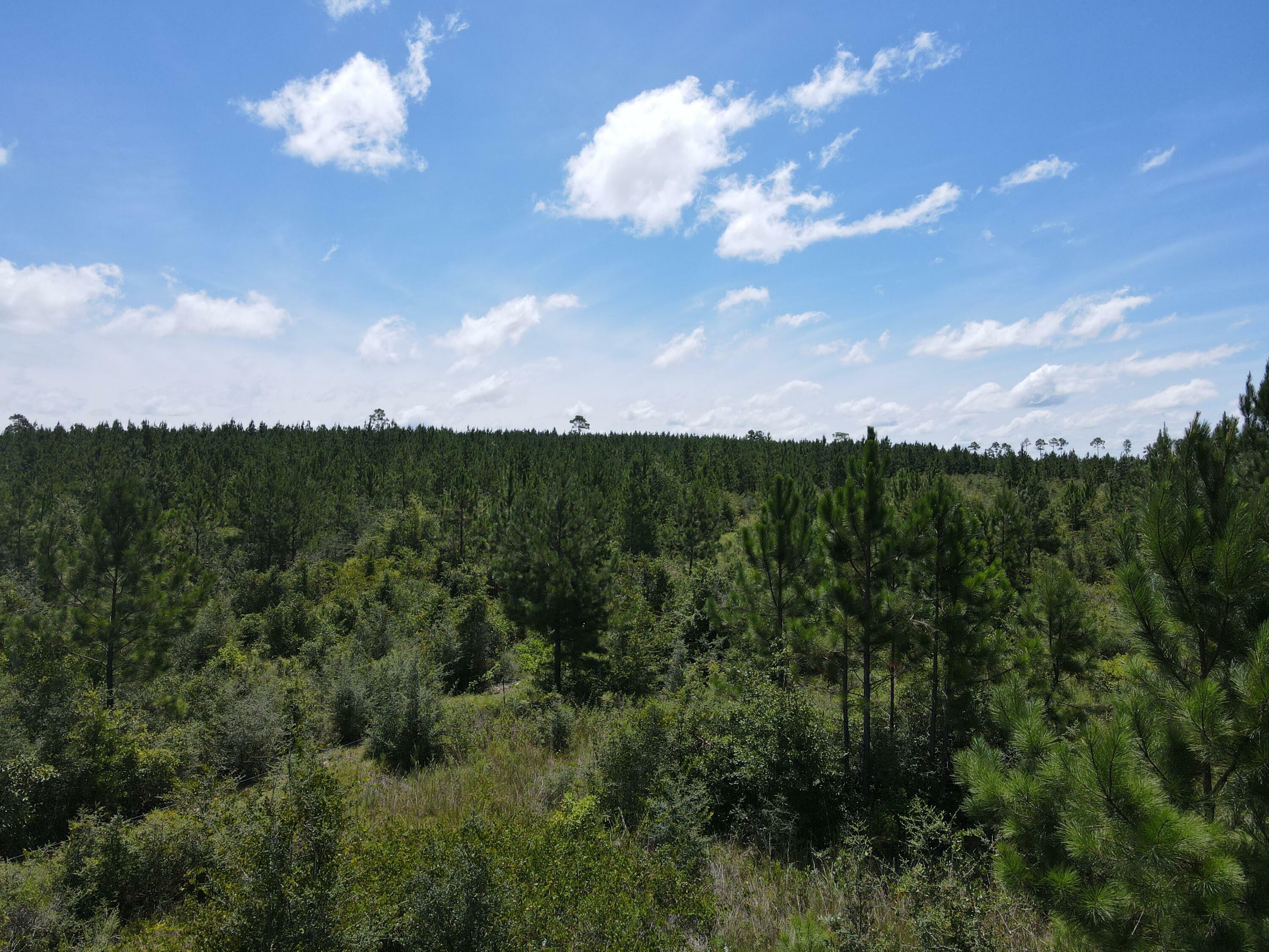 Property Photo:  A-12 Munson Highway  FL 32570 