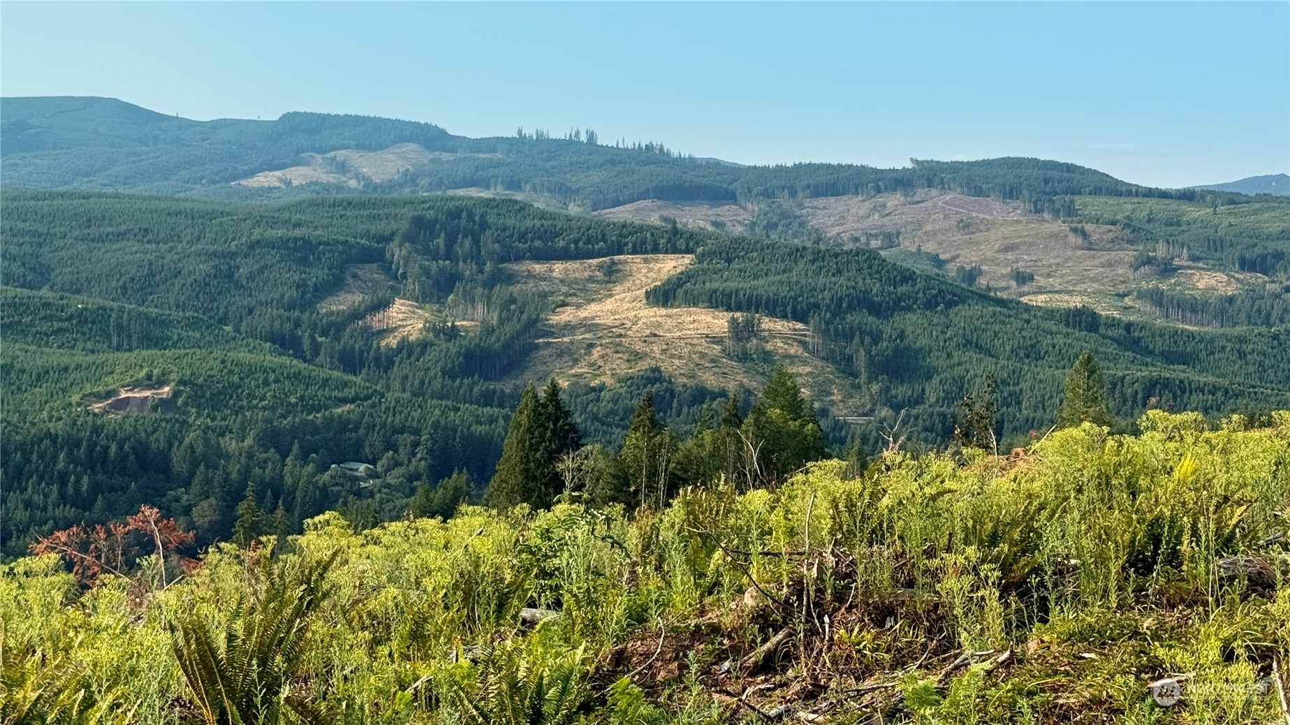 Property Photo:  3725 Little Kalama River Road A  WA 98584 