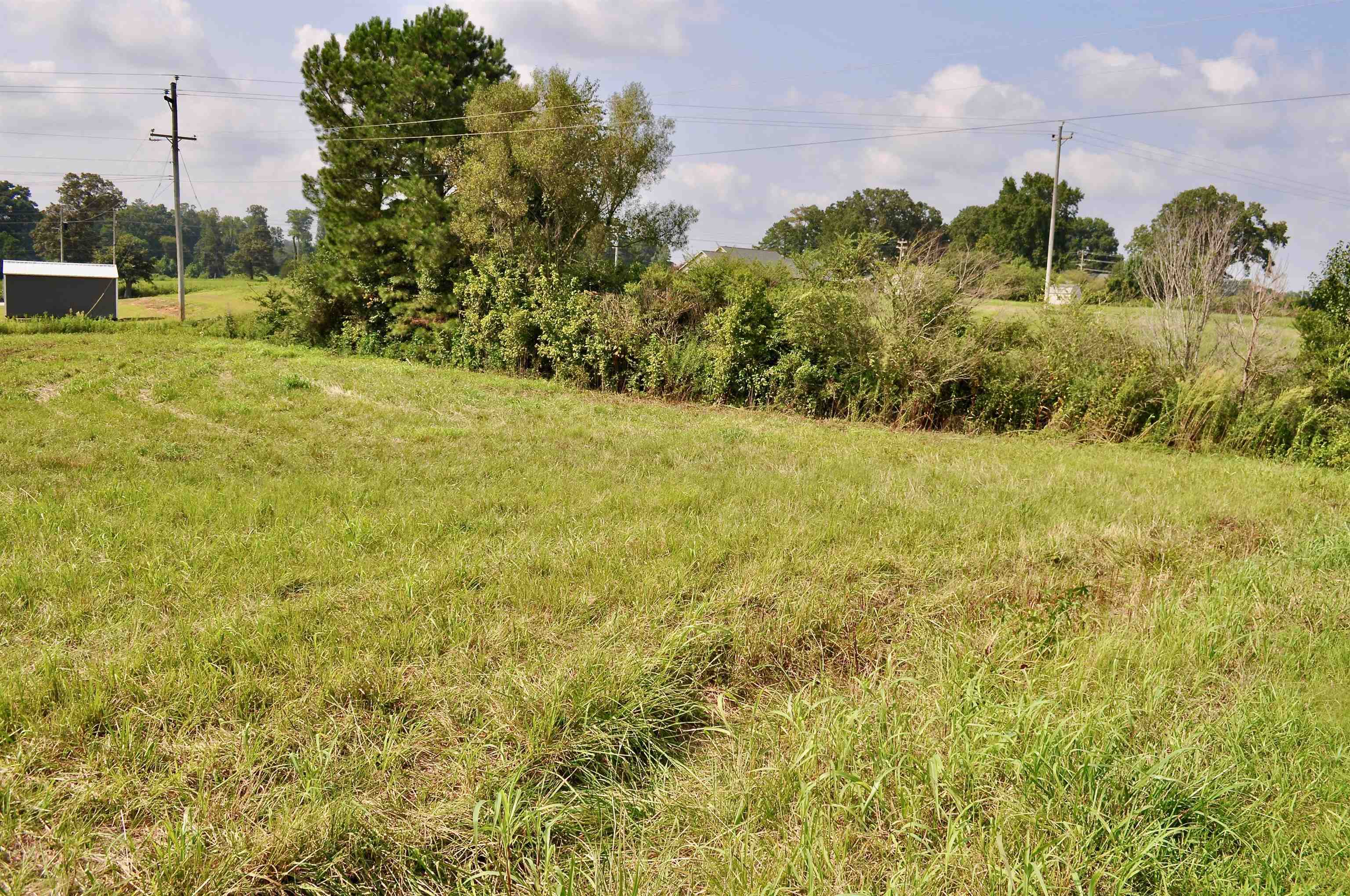 Property Photo:  Lot 7 Tiffani Dr  AL 35058 - CULLMAN 