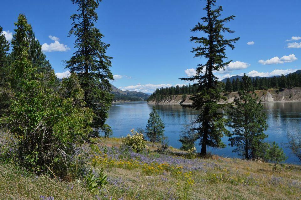 Property Photo: 36xx Critter Way WA 99141