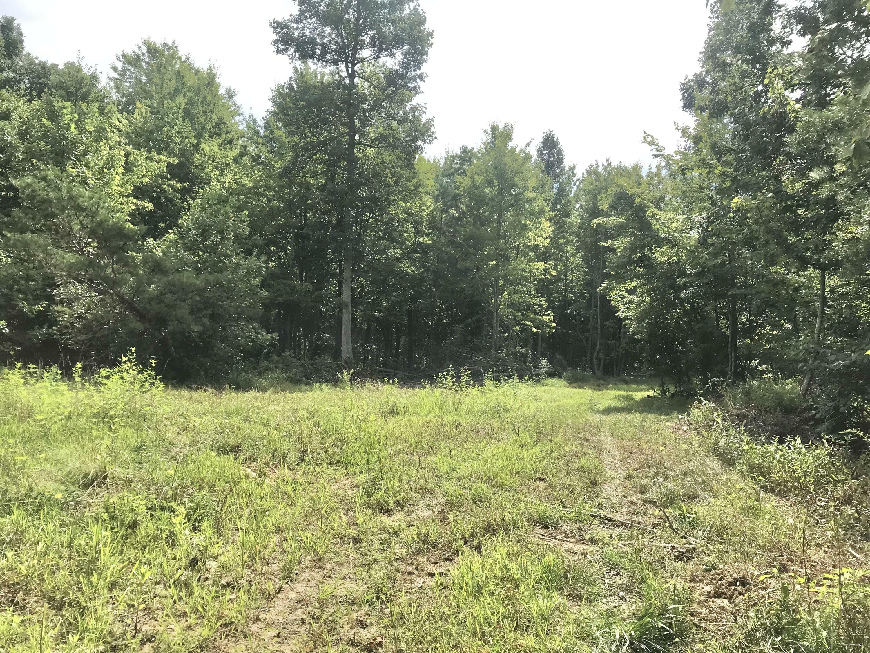 Property Photo:  147 Hanshaw Road Acres Land 147 Acres Land  KY 41164 