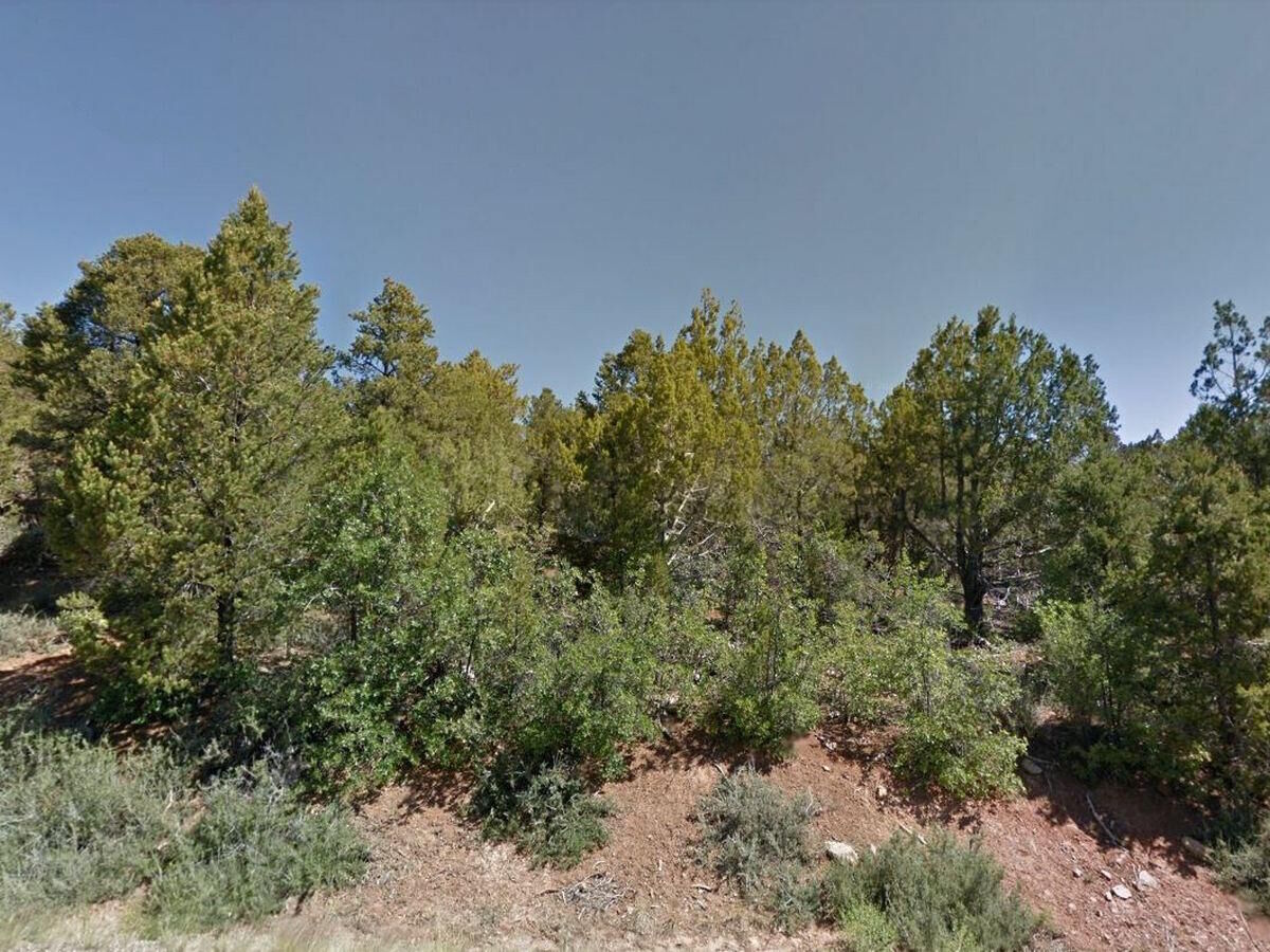 Property Photo: Lot 25 Zion Hunting Est Blk 2 UT 84762