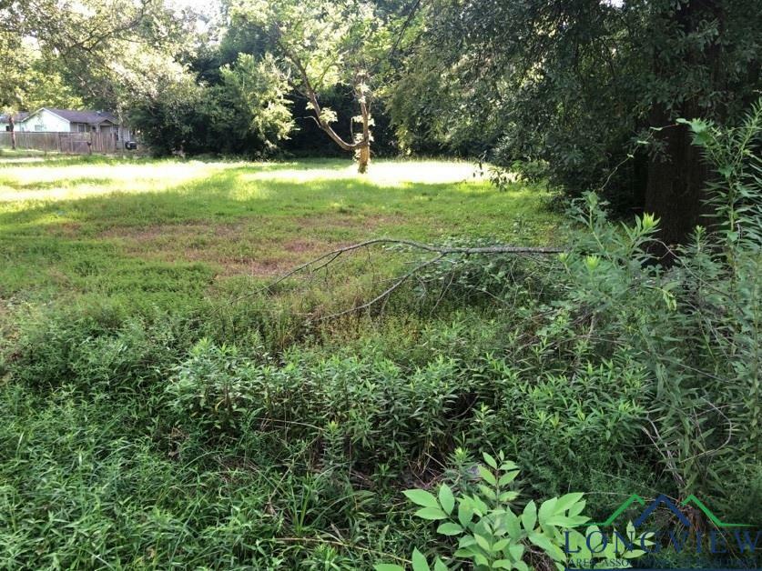 Property Photo:  1104 Hutchings Boulevard  TX 75602 