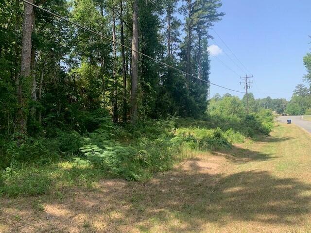 West Street 15.53 Acres  Anacoco LA 71403 photo