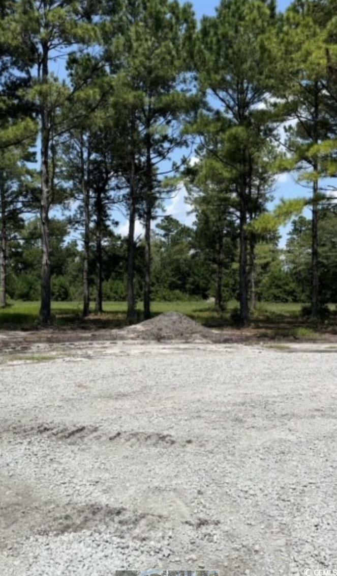 Property Photo: Tbd Lot 8 Woodrow Ln. SC 29569