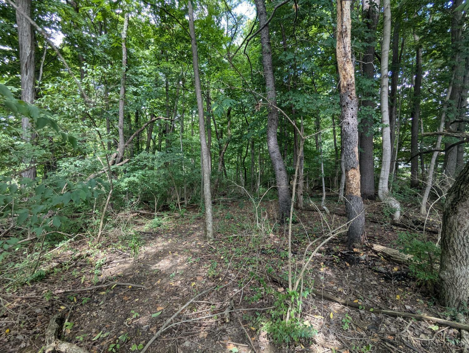 Property Photo:  7748 State Road  OH 45255 