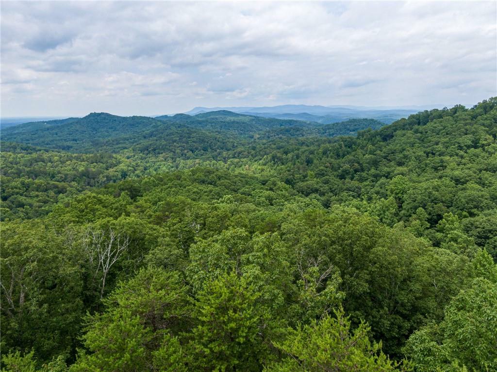 Property Photo: 1584 Paladin Drive GA 30734
