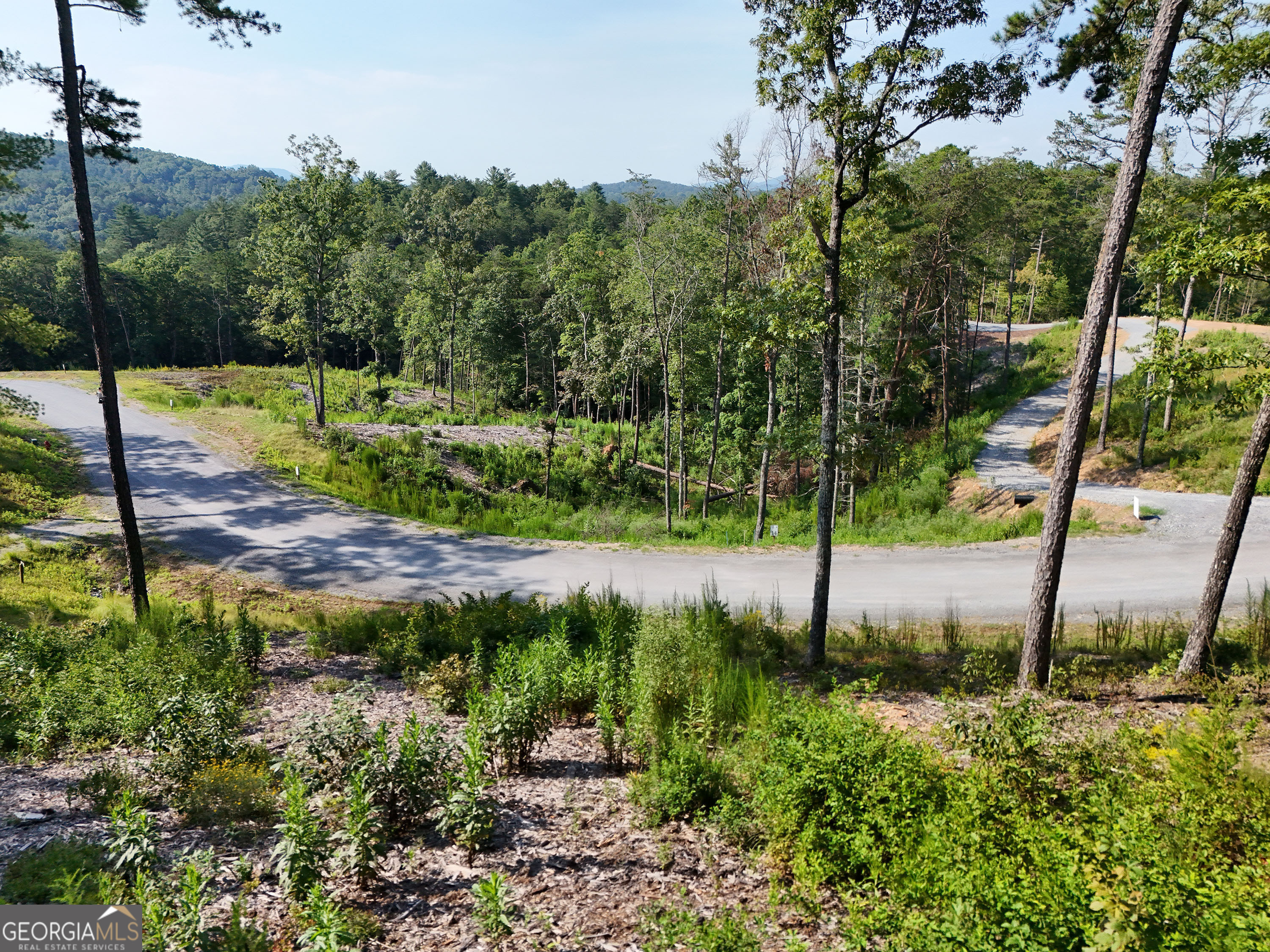 Property Photo:  Lot 3 Mountain Laurel Ridge  GA 30559 