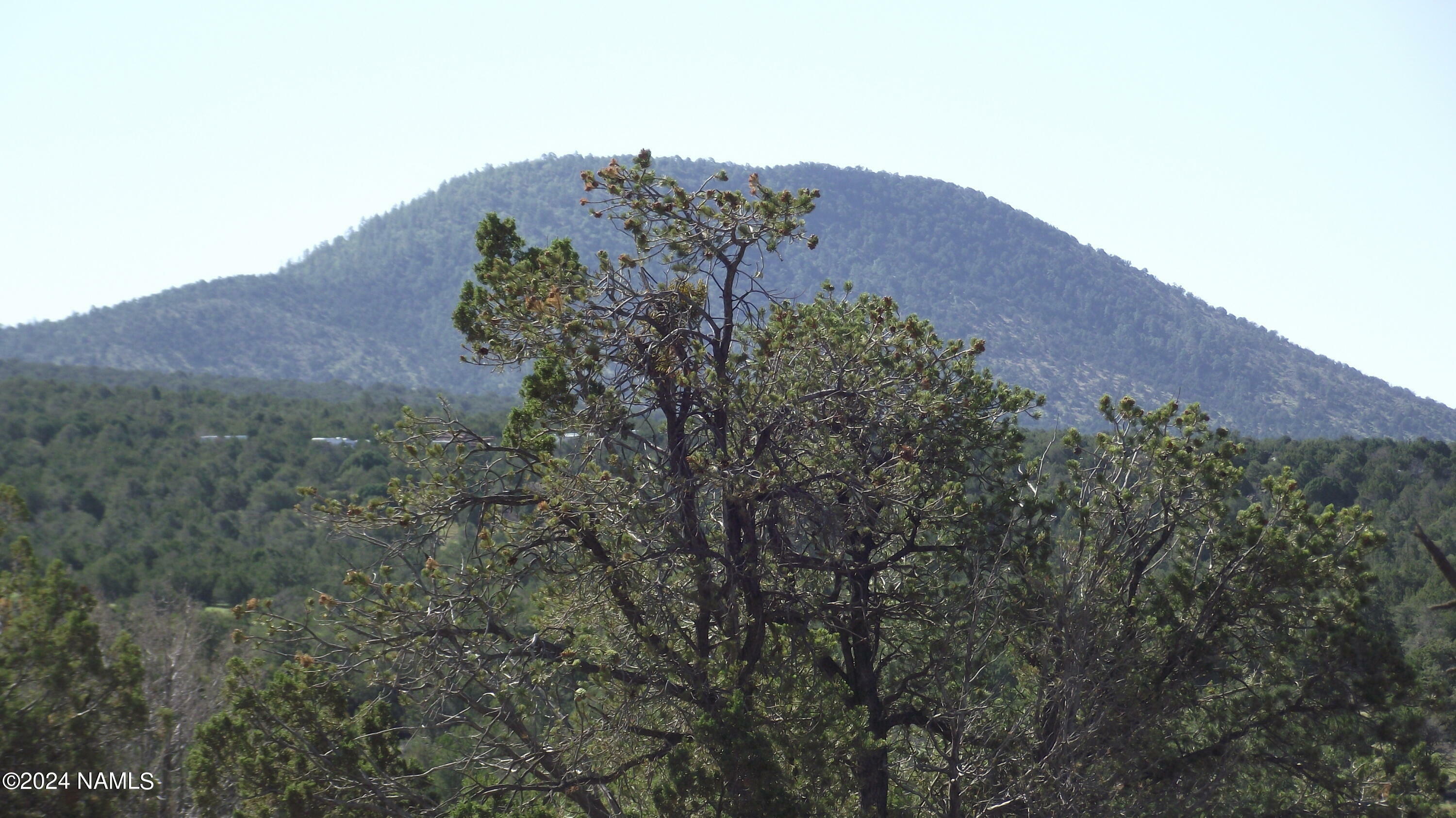 Property Photo: 907 E Hualpai Trail 159 AZ 86046