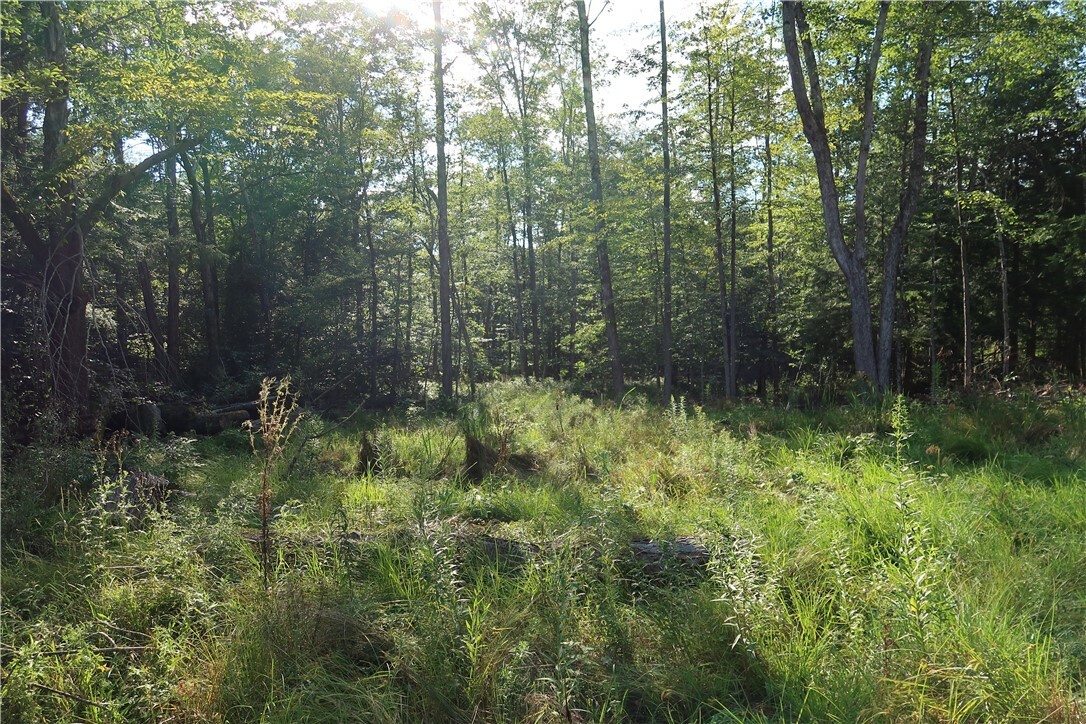 Property Photo:  Lot 7 German Road  NY 13863 