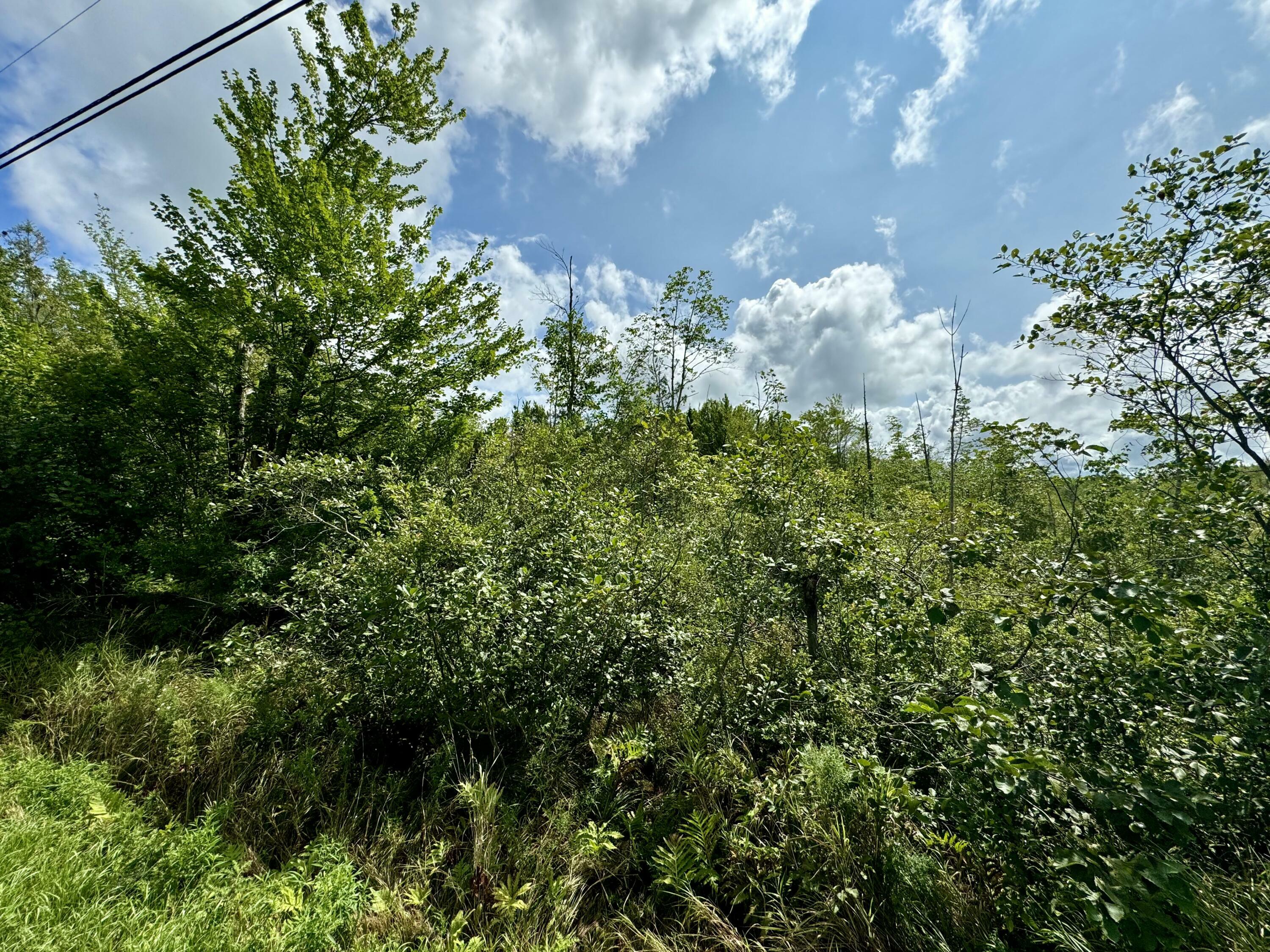 Property Photo:  Lot # 31 Hope Road  ME 04965 