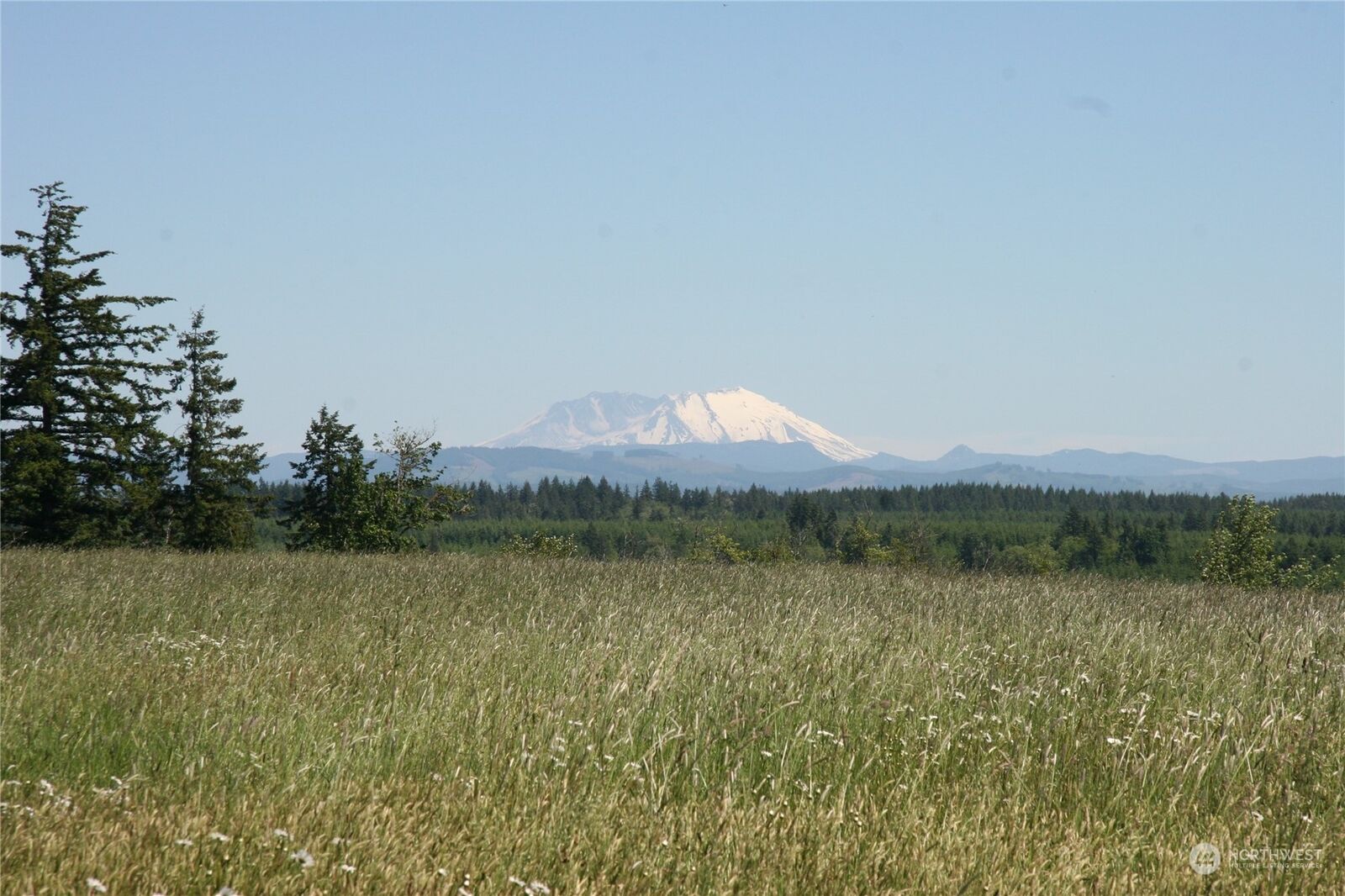 Property Photo: 174 Oppelt Road WA 98532