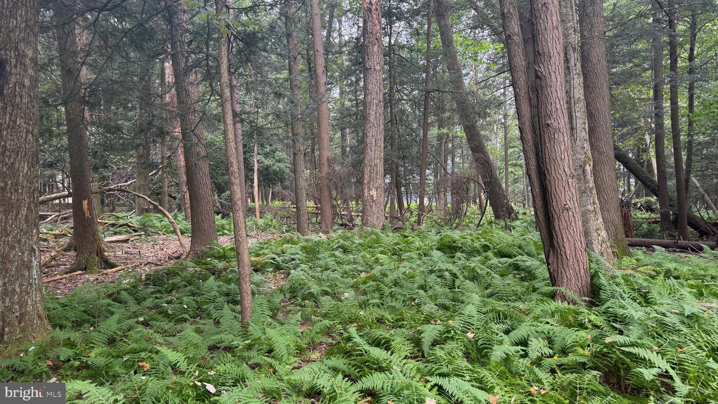 Property Photo: Dickey Mews PA 18210