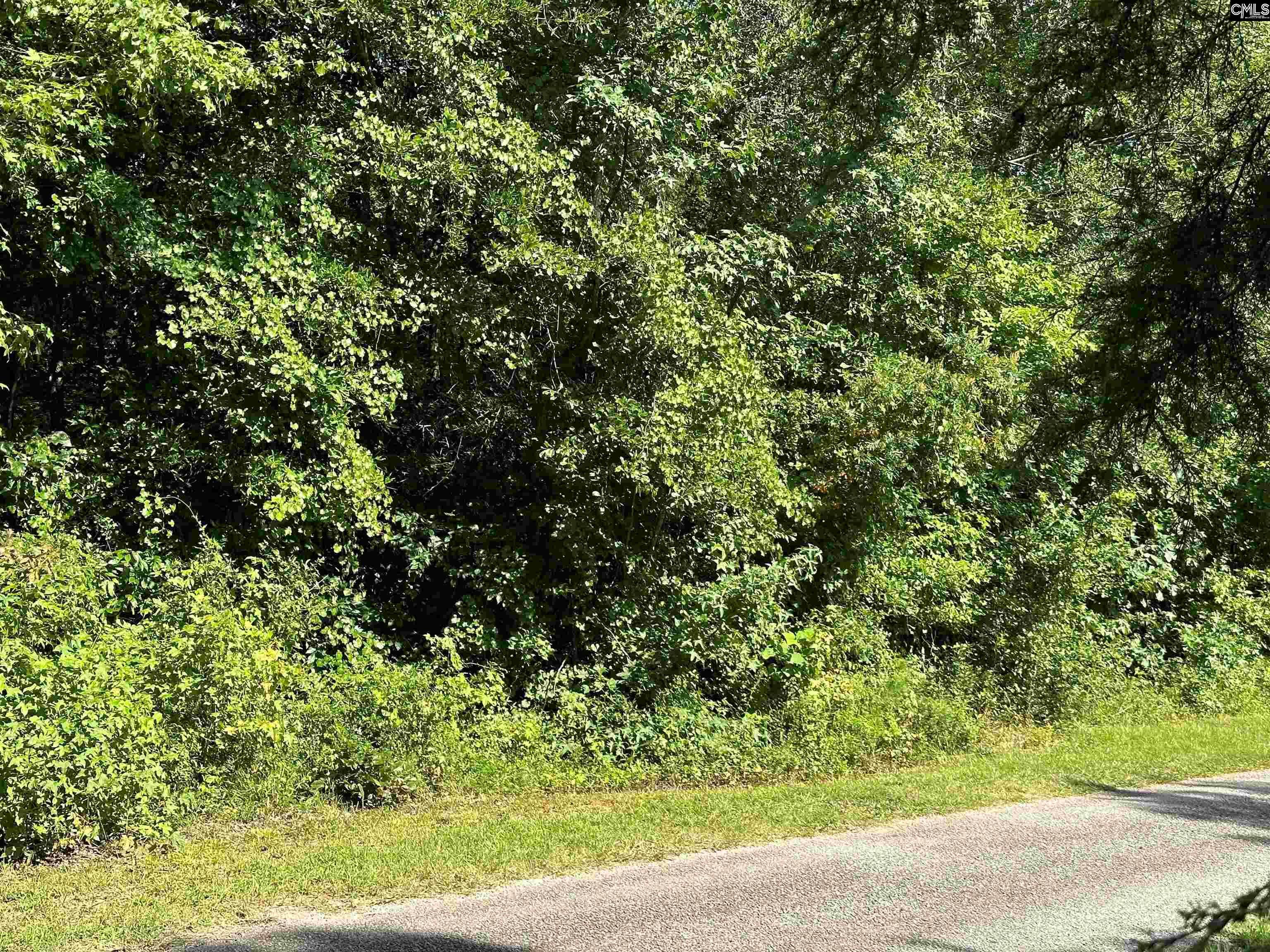 Property Photo: Hoover SC 29130