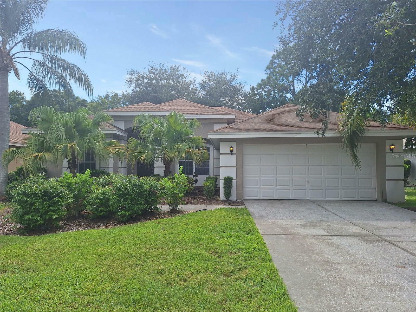 462 Equine Drive  Tarpon Springs FL 34688 photo