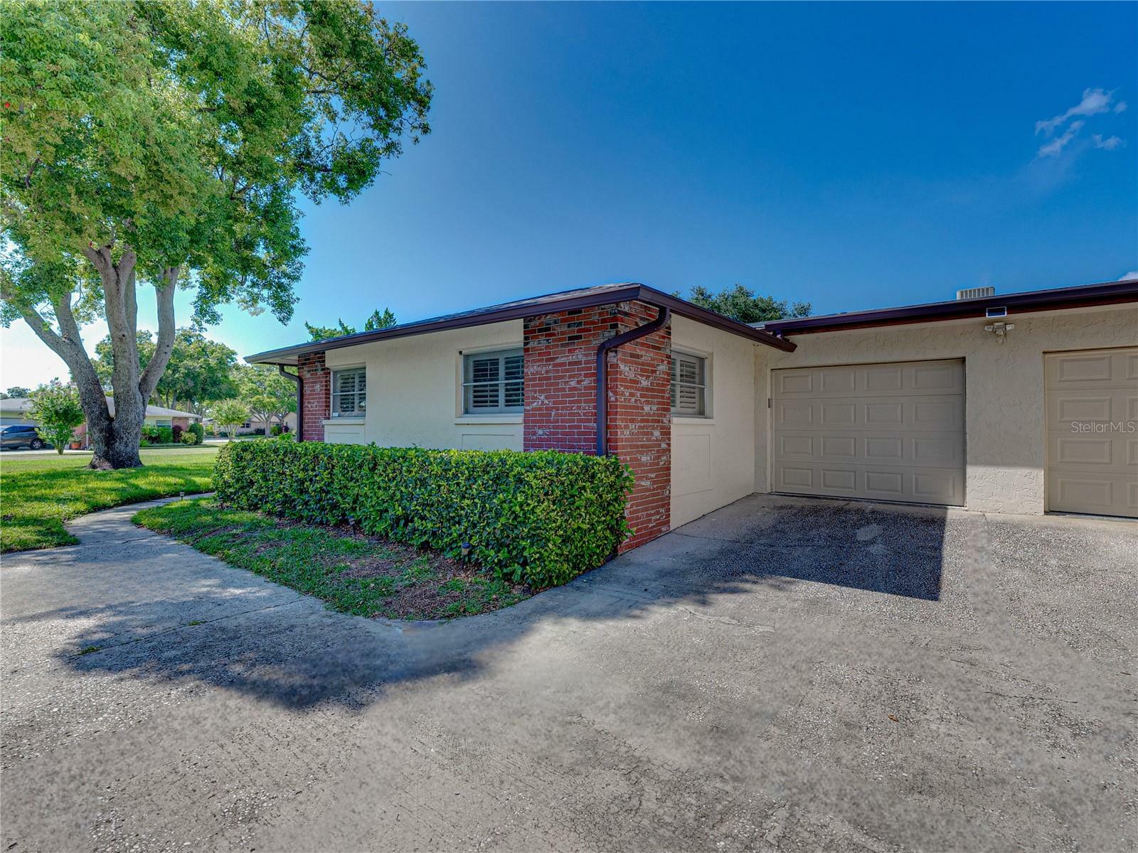 Property Photo:  1231 Queen Anne Drive D  FL 34684 