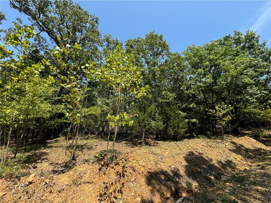 Property Photo:  Tract B Director Road  AR 72774 