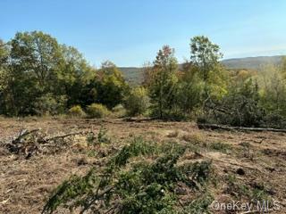Lot 9 Woodin Place  Poughquag NY 12570 photo