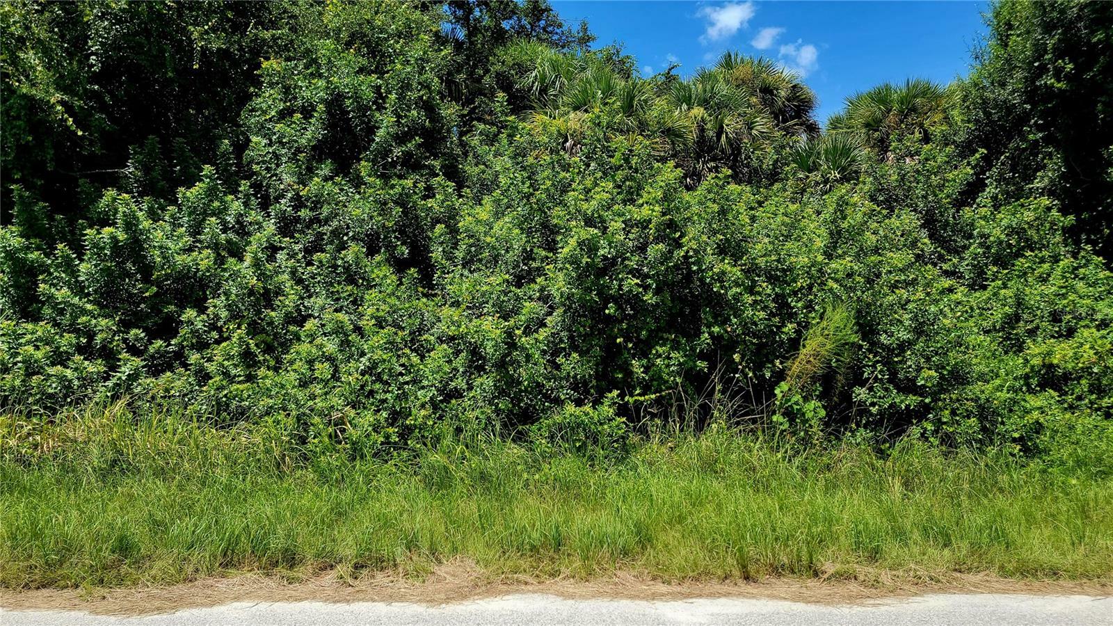 Property Photo:  Goshen Road  FL 34288 