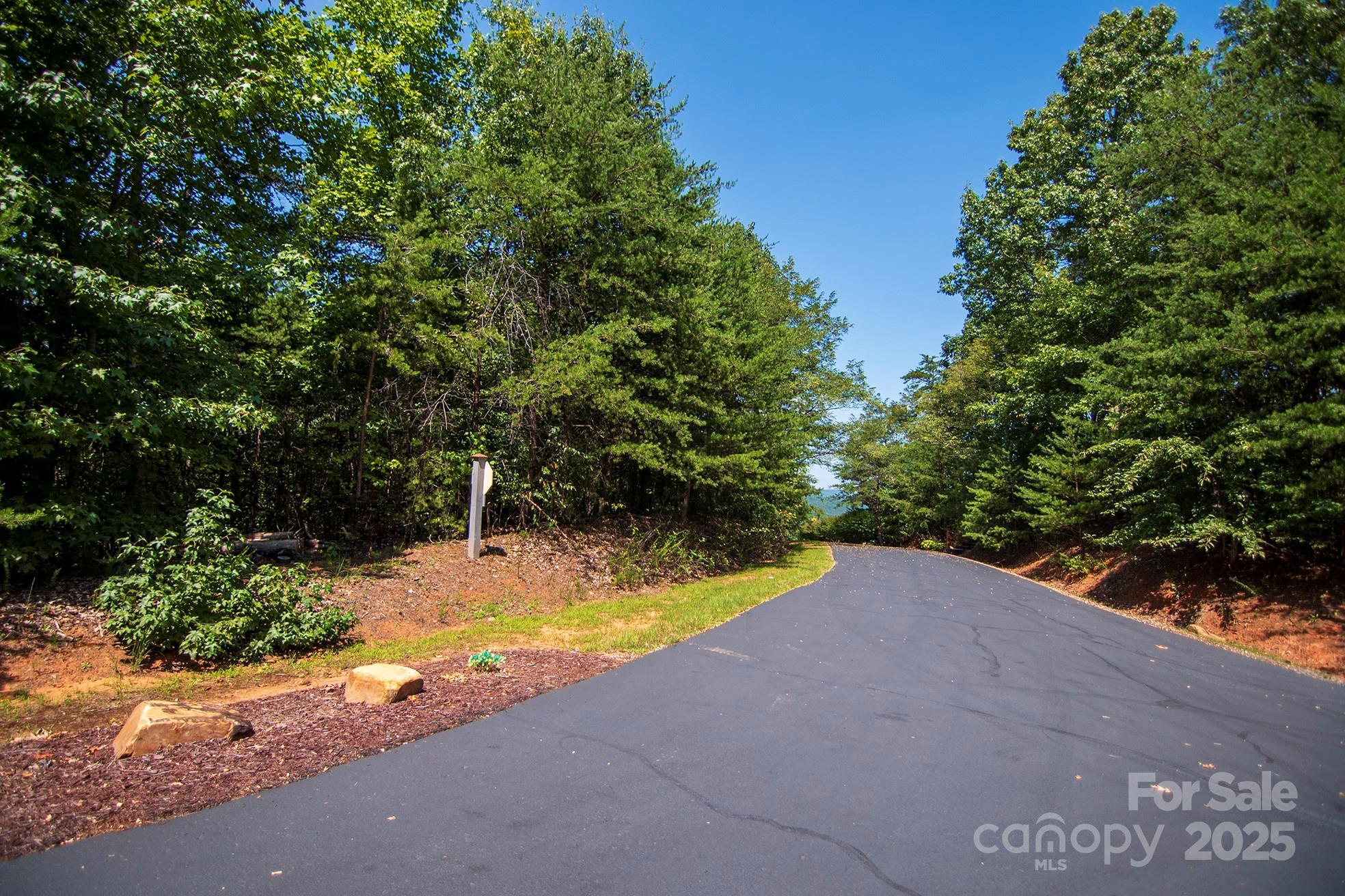 0 Pioneer Gate Drive 55  Bostic NC 28018 photo