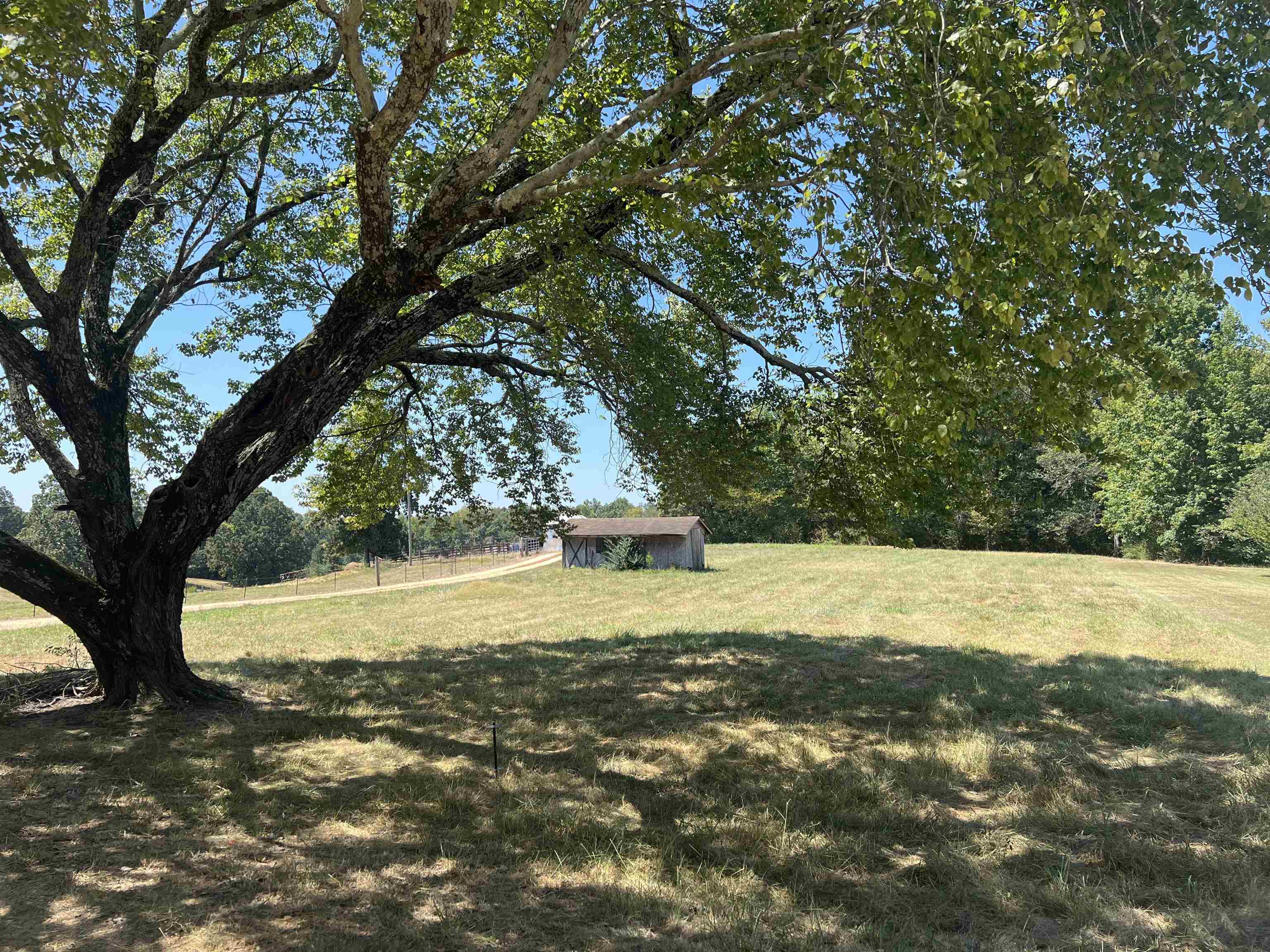 Property Photo:  20 Co Rd 295  AL 35633 - FLORENCE 