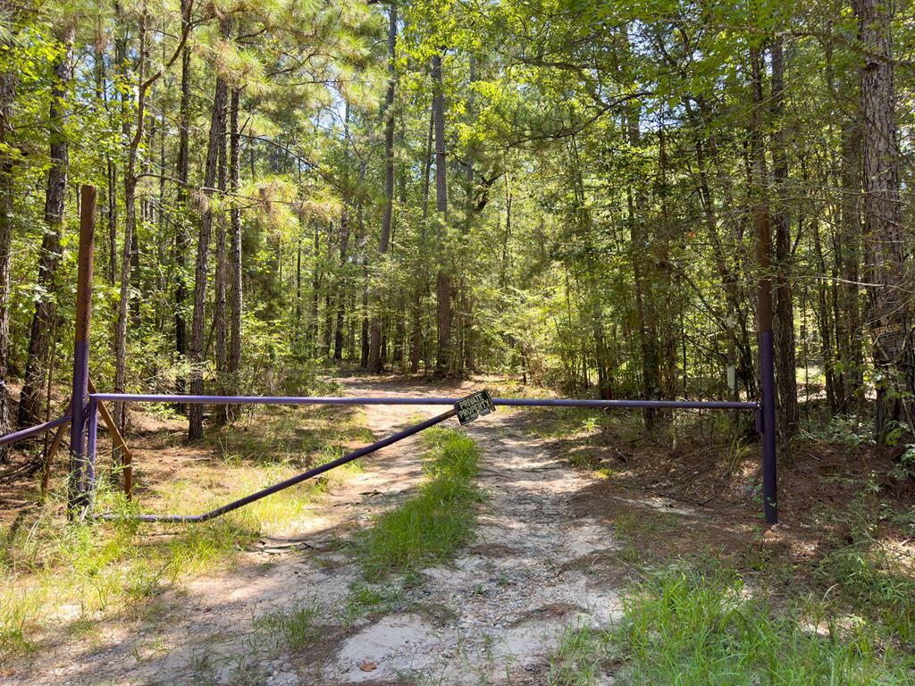 Property Photo:  Tract 4.4 Frazier Road  TX 75980 