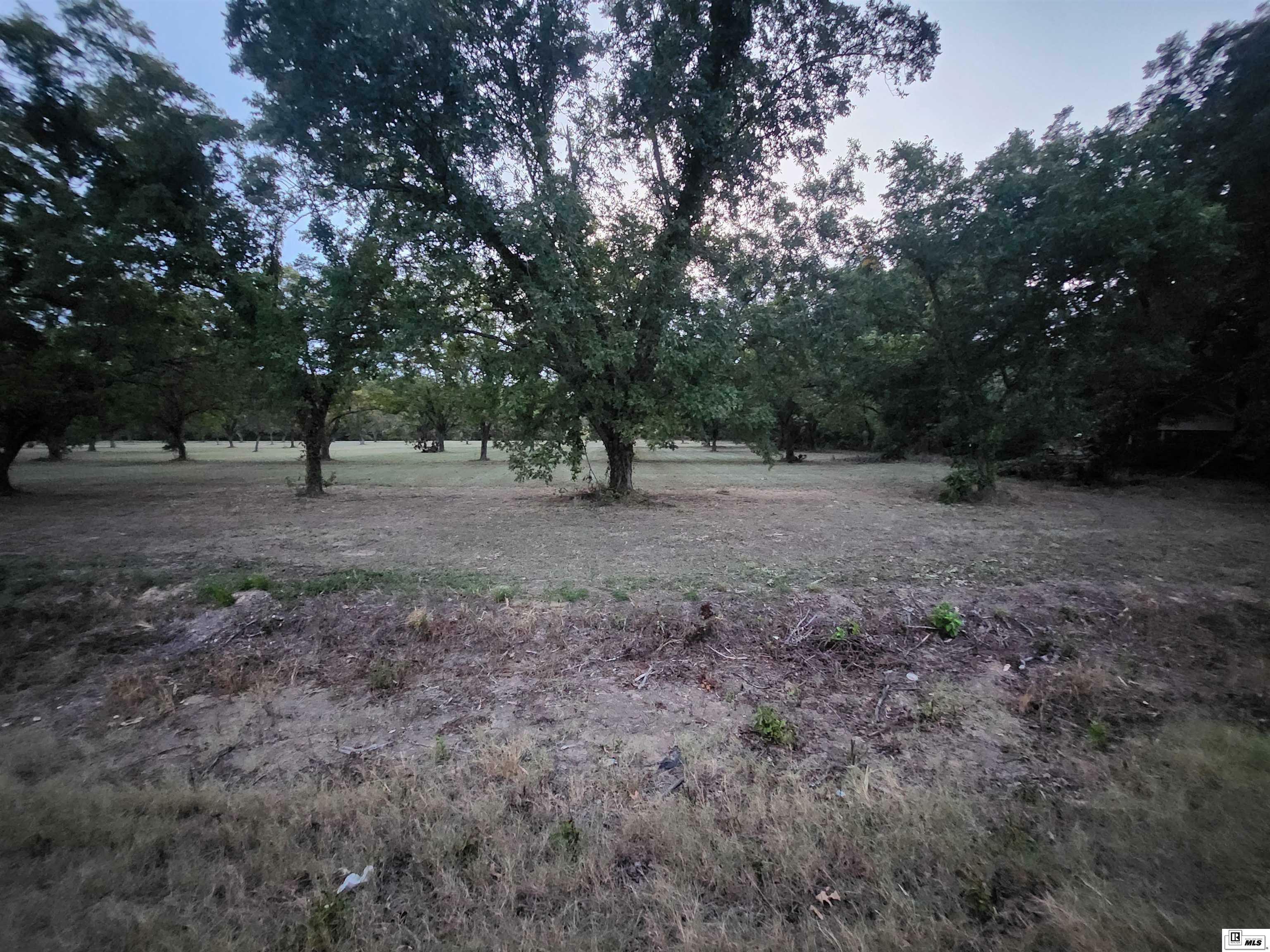 Property Photo:  Tract 1 Highway 578  LA 71295 