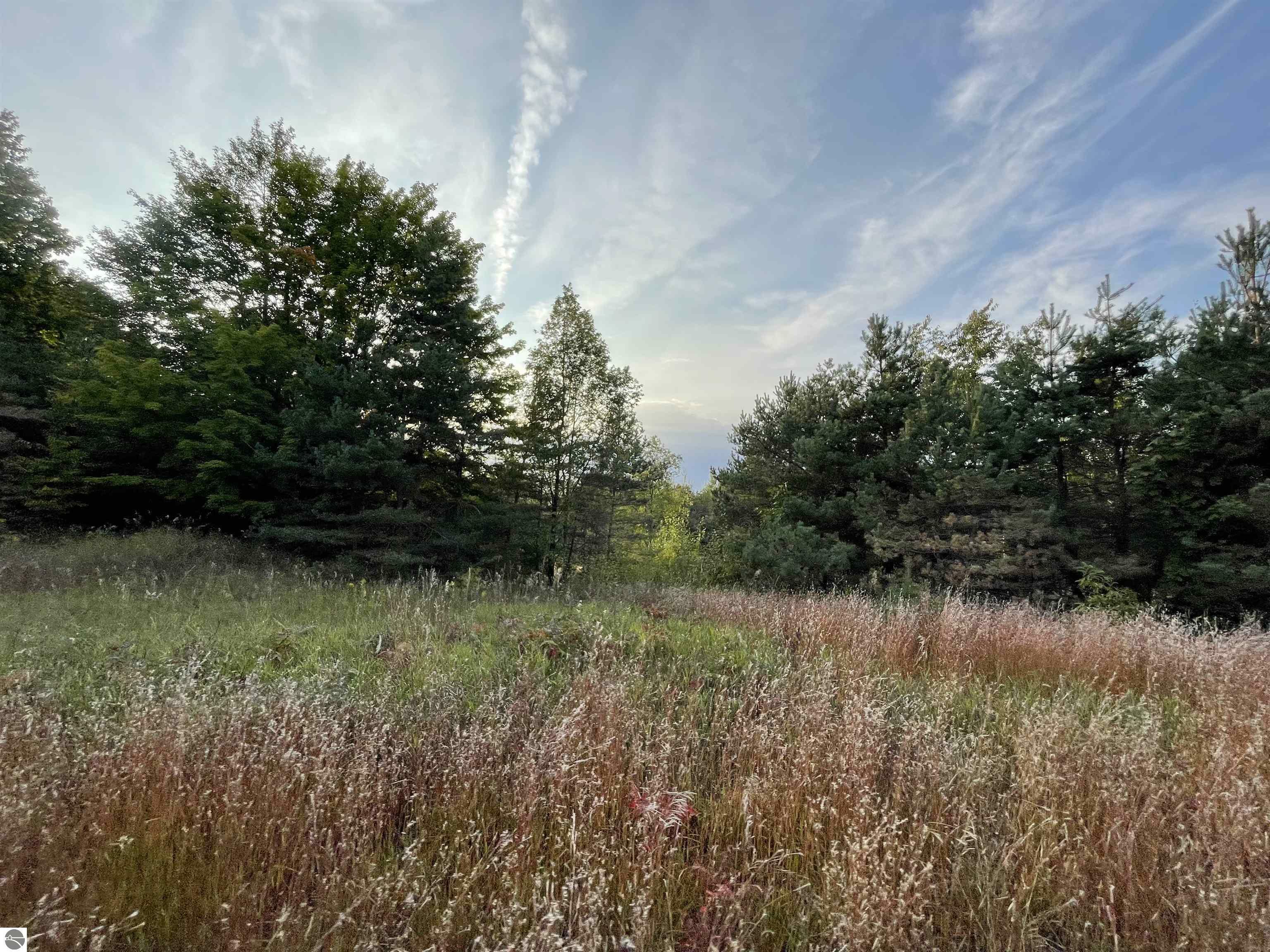 Property Photo:  V/L Parcel E E 18 1/2 Road  MI 49663-8553 