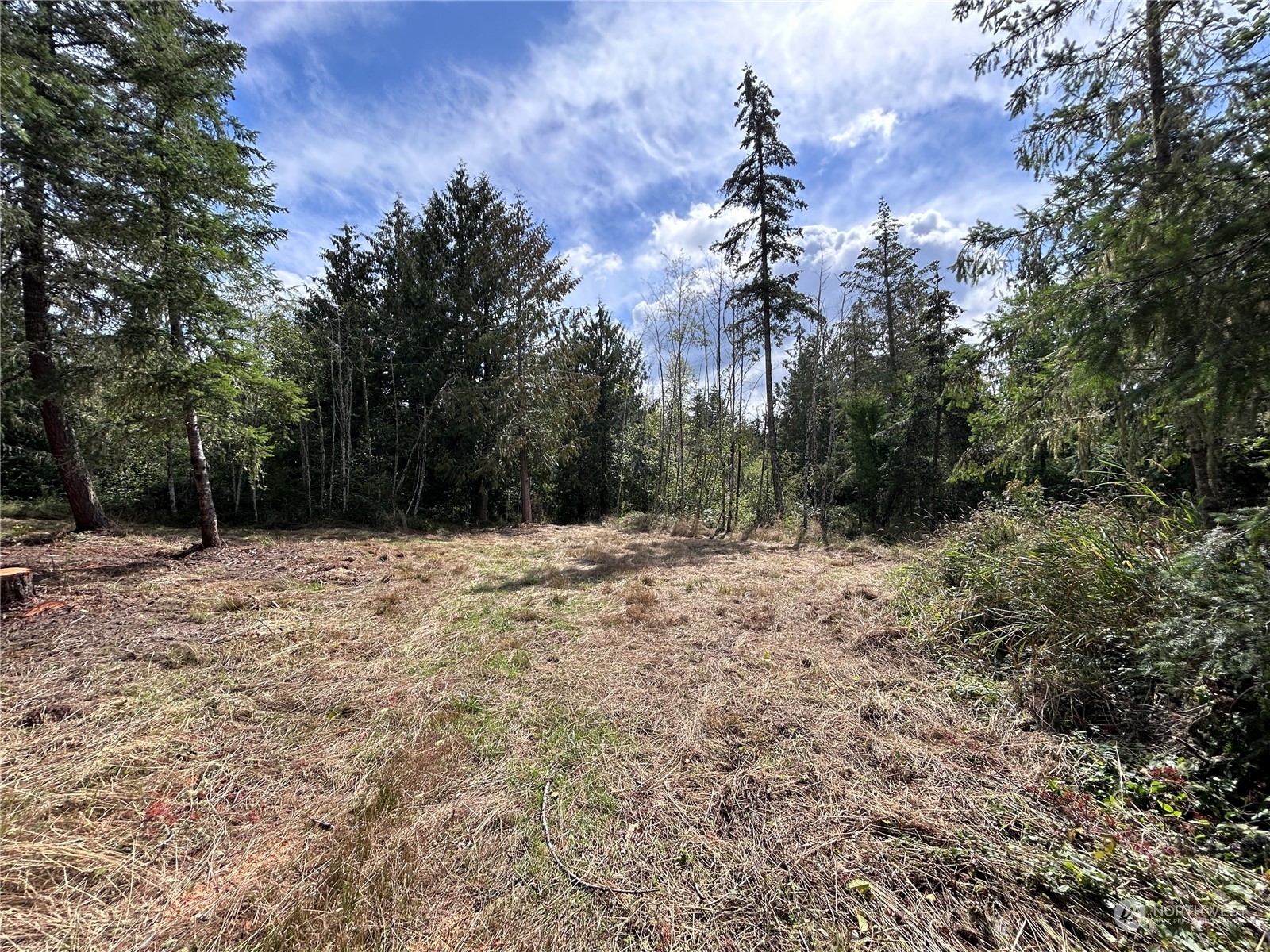 Property Photo:  647 George Taylor Road  WA 98645 