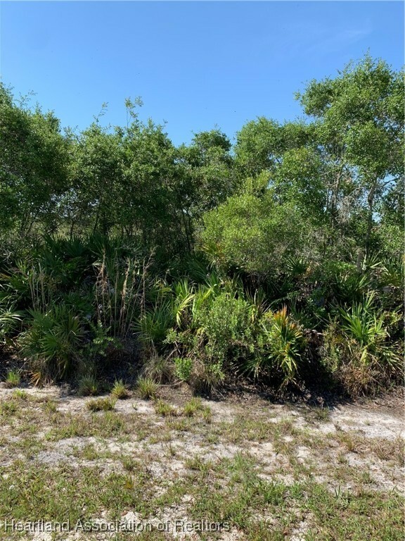 Property Photo:  616 Cowhouse Road  FL 33857 