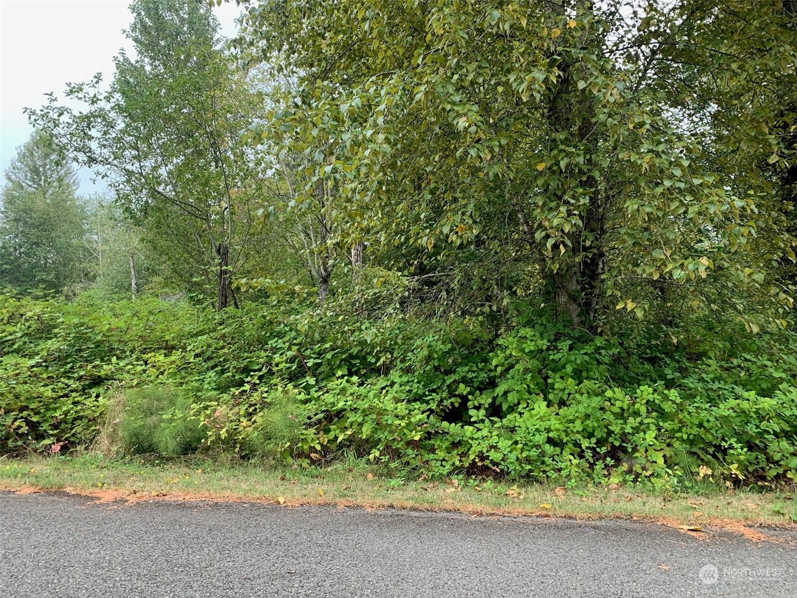 Property Photo:  264 Xx NE 51st Street  WA 98053 